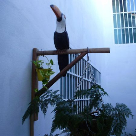 Aconchego Dos Milagres Villa São Miguel dos Milagres Exteriör bild