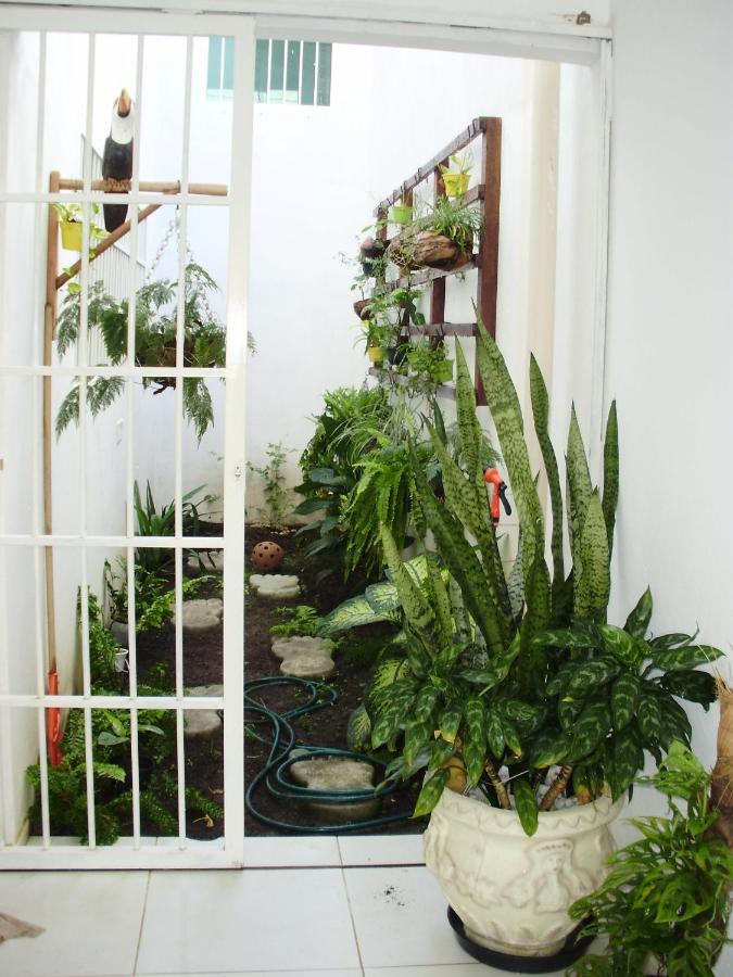 Aconchego Dos Milagres Villa São Miguel dos Milagres Exteriör bild