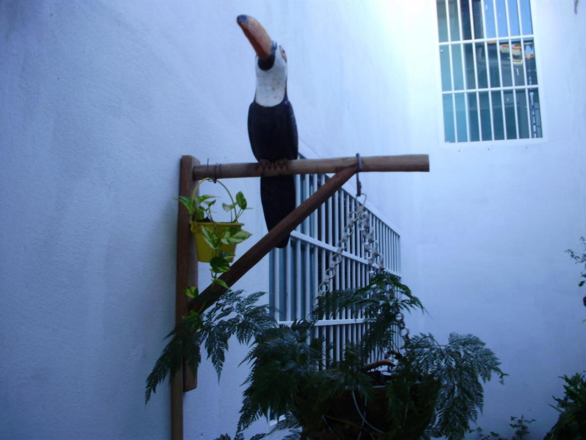 Aconchego Dos Milagres Villa São Miguel dos Milagres Exteriör bild